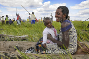_KU30249.jpg - zambia-stockphotos.com
