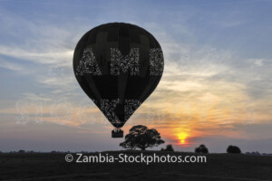 Balloon 1.jpg - Zamstockphotos.com