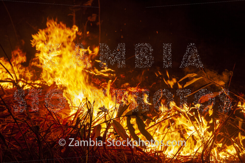 FIRE_mad0122-jpg - Zamstockphotos.com