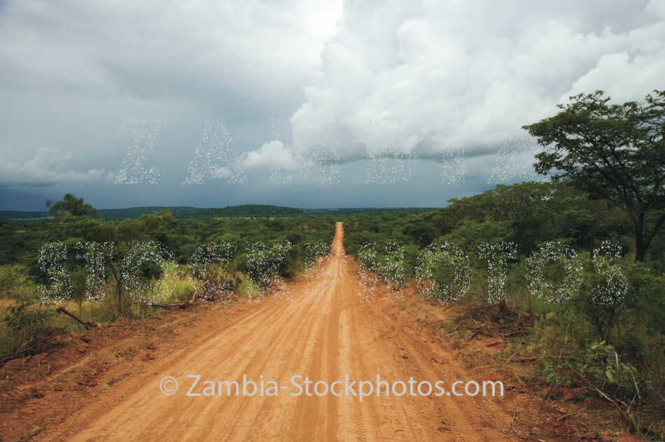 Dumwense Roadtiff.jpg - Zamstockphotos.com