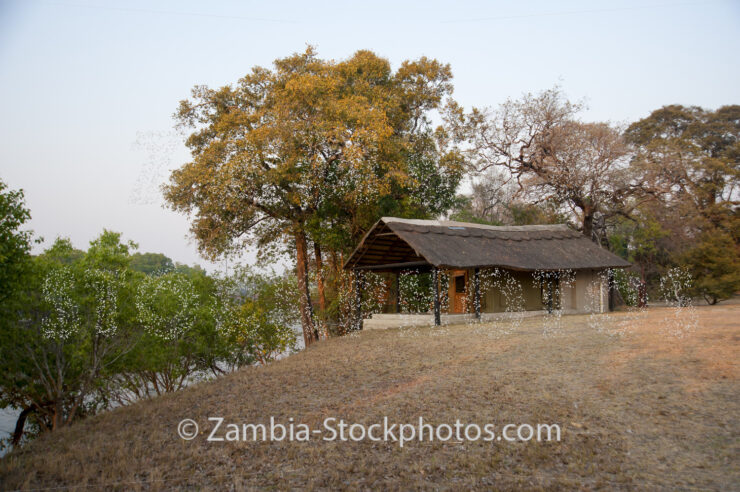 KNP_KP30066-35845.jpg - Zamstockphotos.com