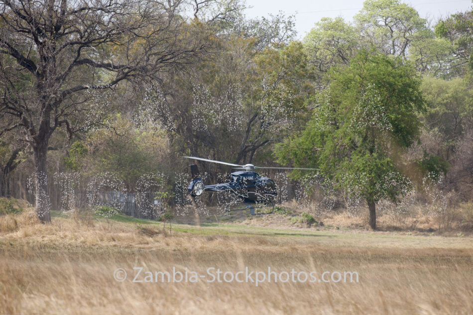 Kapinga Helicopter.jpg - Zamstockphotos.com