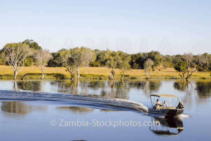 Leopard tiff.jpg - Zamstockphotos.com