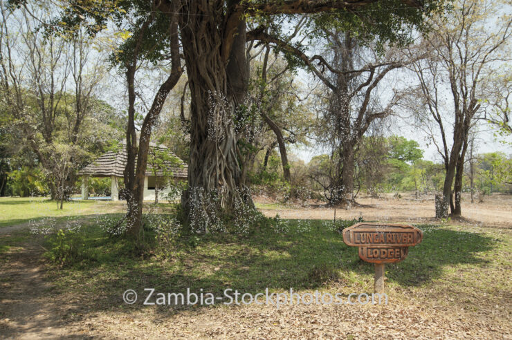 Lunga river tiff.jpg - Zamstockphotos.com