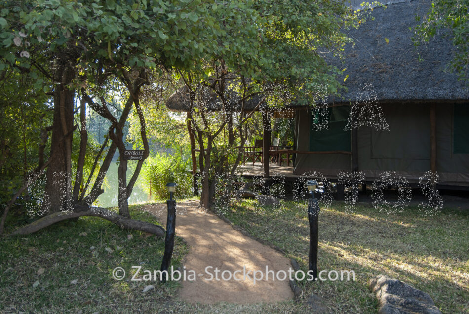 _KNP8285.jpg - Zamstockphotos.com