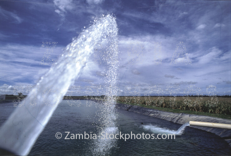 AGR_water-shoot-jpg - Zamstockphotos.com