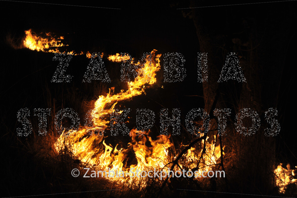 FIRE_kpf8548-jpg - Zamstockphotos.com