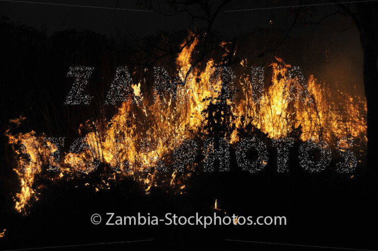 FIRE_kpf8575-jpg - Zamstockphotos.com